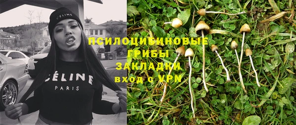дмт Алзамай