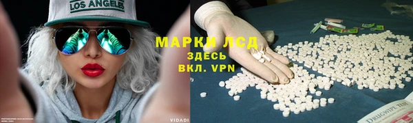 дмт Алзамай