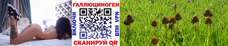 Галлюциногенные грибы GOLDEN TEACHER  Купить где  Ленинск-Кузнецкий 